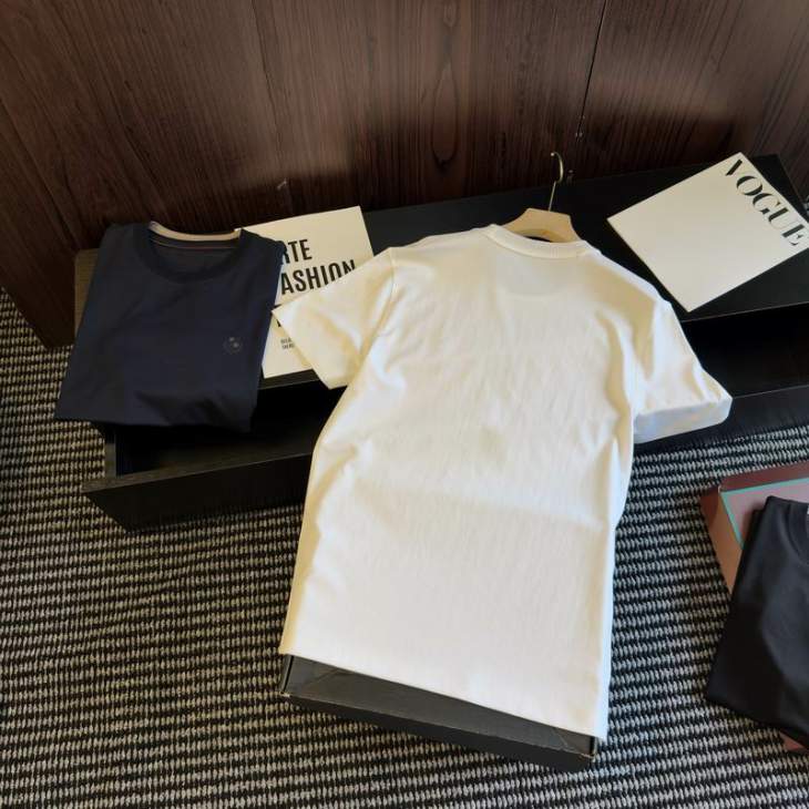 Loro Piana T Shirts Short _SKULoroPianaM-3XLxetr198732